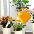 thumbnail image 4 of 2025 New 2in1 Detachable Shower Head Watering Can 1 Gallon Long Spout Indoor Outdoor Garden Flower Watering Can with Comfortable Handle, 4 of 4