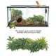 thumbnail image 2 of Planta Artificial verde, hojas falsas, acuario, pecera, terrario para reptiles, adornos, decoración, 50cm, 2 of 5
