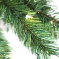 thumbnail image 2 of Puleo International 277-DT8345-50C150 5 ft. Pre-Lit Artificial Palm Tree with 150 UL-Listed Lights, 2 of 4