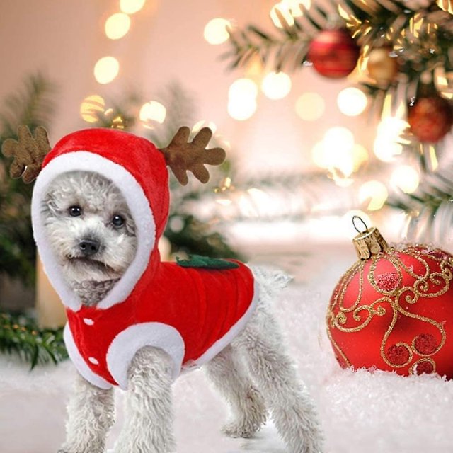 Ropa de Navidad para perro, disfraz de Papá Noel, disfraz de perro de reno bonito, disfraz de gato, abrigo cálido de invierno para mascota Kuyhfg Sin marca