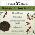 thumbnail image 4 of Herbal Roots Organic Hawthorn Berry Capsules | Extra Strength 1,200mg per Serving | 60 Vegan Capsules, 4 of 7