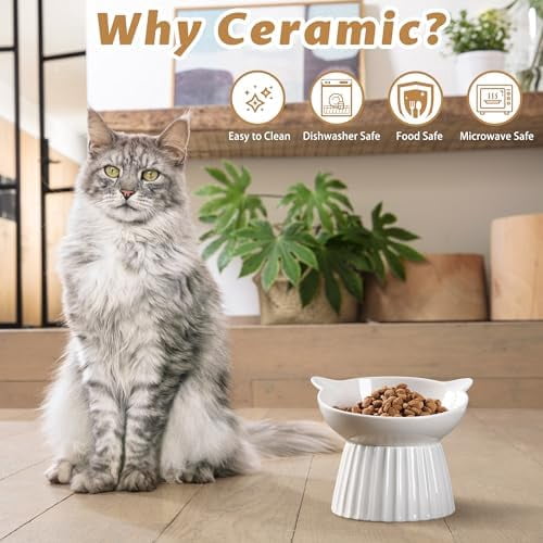 Ceramic Raised Cat Bowl，Tilted Raised Cat Bowl Anti Vomit Cat Bowls for Indoor Cats Whisker Friendly Pet Feeder for Cats Puppies, Microwave and Dishwasher Safe