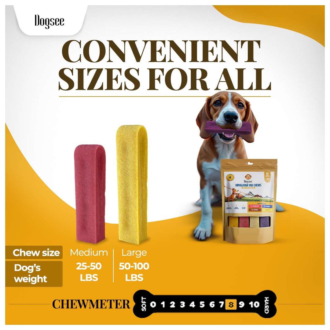 Dogsee Yak Chews Large Dogs Multiflavor Dental Care Long Lasting 1 lb 4 Chews
