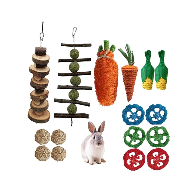 Greeniant Para espacios pequeños, juego de juguetes para masticar duraderos y elegantes para conejo, juguetes para masticar animales de Guinea, Type3 NO3