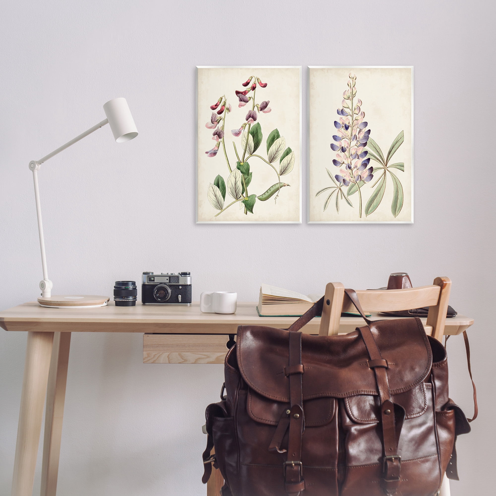 Stupell Industries Foxglove Latin Studies Botanical & Floral Painting Unframed Art Print Wall Art, 13 x 19, Set of 2