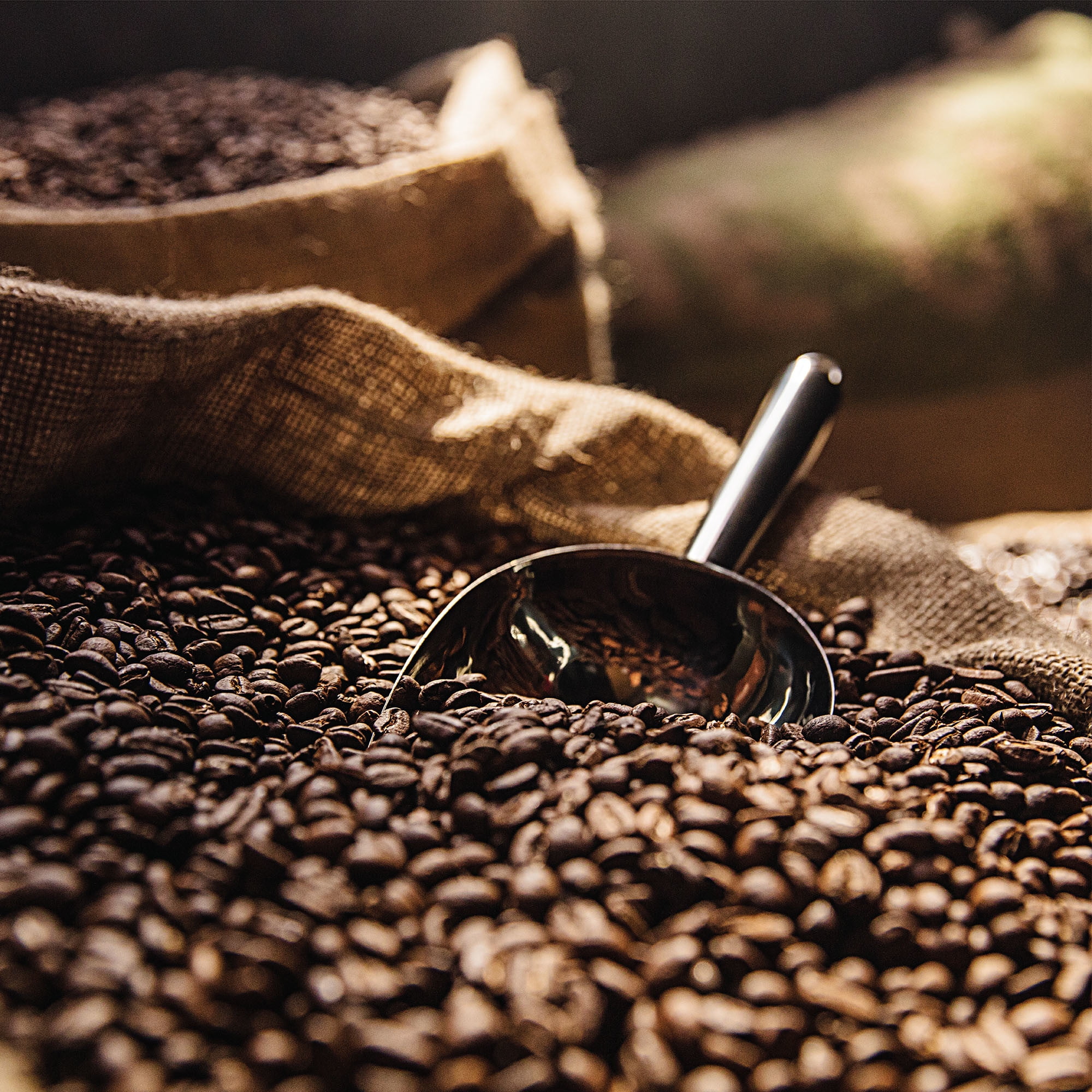 dark magic coffee beans
