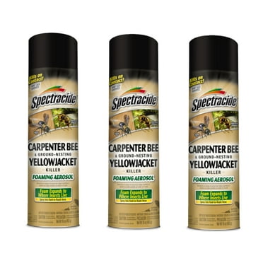 Spectracide Outdoor Carpenter Bee & Ground Nesting Yellow Jacket Killer Aerosol, 16 oz, 3 Count