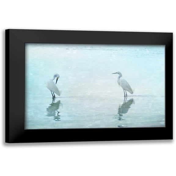 Cmarits, Hannes 14x11 Black Modern Framed Museum Art Print Titled - White Cranes
