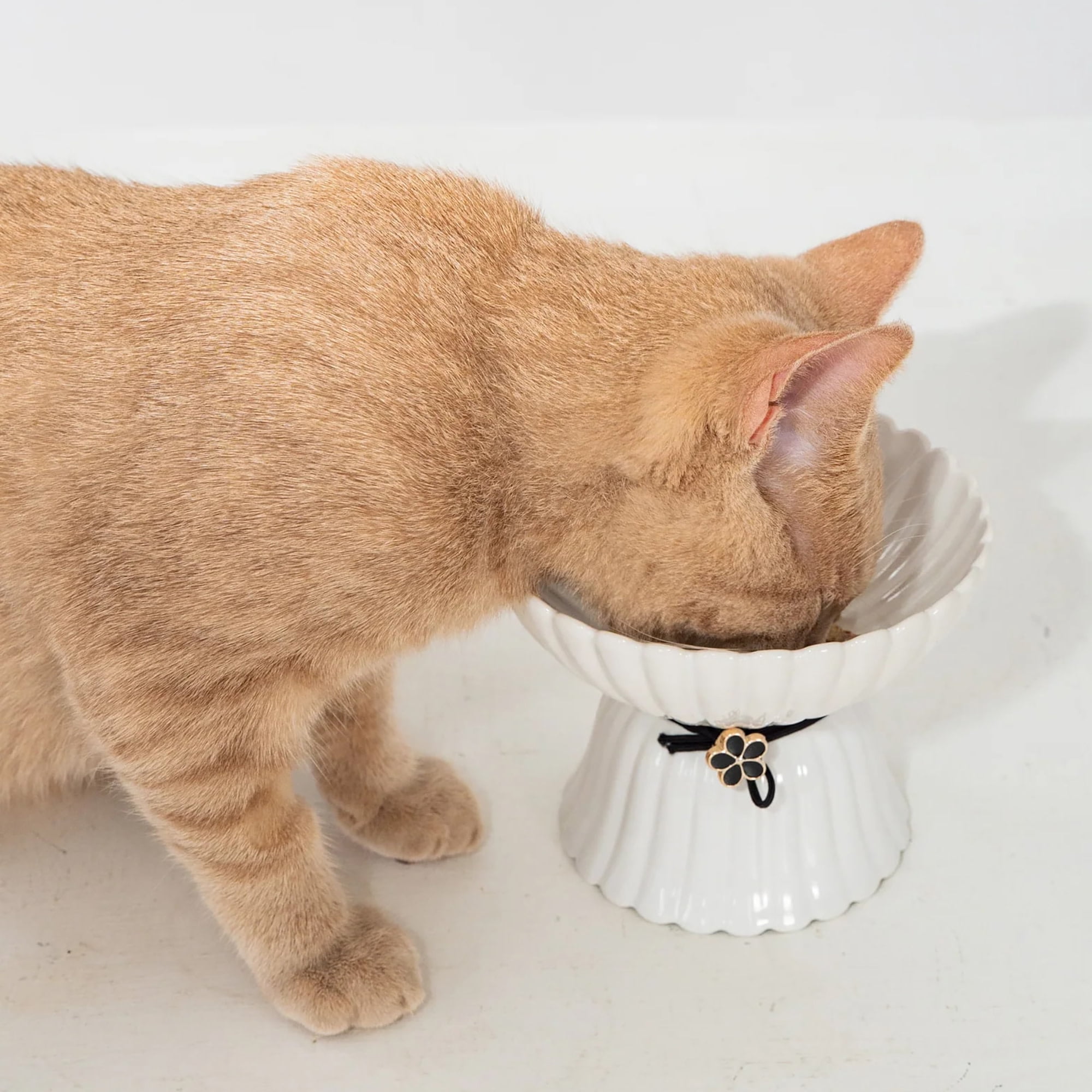 Dexypaws: Elevated Ceramic Cat Bowl - Blush Pink & Rose Gold Flower - 8.45oz, Stylish Pet Feeding Dish, Meals, Food & Water, Ergonomic Height, Raised