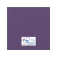 thumbnail image 1 of ADP1212-25 56611 Toile CDSTK 12X12 80LB 25 Pcs Vigne de Raisin PK, 1 of 4