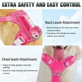 thumbnail image 3 of Arnés para perros BARKBAY No Pull Air Mesh Reflectante, Grande, Rosa, 3 of 9