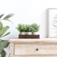 thumbnail image 3 of Plantas artificiales de eucalipto falsas con bandeja de madera, paquete de 3 unidades Dahey, 3 of 6