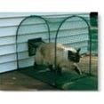 Kittywalk Deck and Patio Outdoor Cat Cage Enclosure, Green, 48" x 18" x