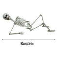 100Fens Halloween Skeleton Life Size Full Body Realistic Human Bones