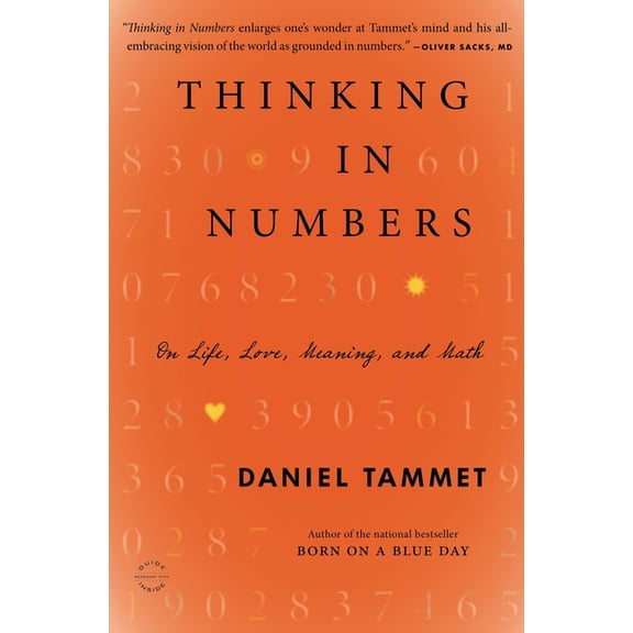 Thinking in Numbers, (Paperback)