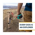 thumbnail image 2 of Ruffwear , Laisse de Randonnée pour Chien, Système de Laisse et d'Attelage Réglable pour Camping et Randonnée, Bleu Ardoise, 2 of 9