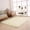 White, variant on TERGAYEE Floor Mats Rugs Anti-Skid Area Rug Dining Room Bedroom Carpet Floor Mat White Rugs for Living Room