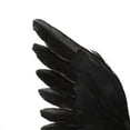 thumbnail image 4 of 1PC Halloween Realistic Black Crows,Halloween Artificial Bird Feathered Black Crows Props for Outdoors and Indoors Party Holiday Decoration Flying Crows, 4 of 7