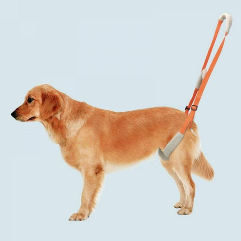 Dog harness for top 3 legged dog