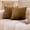 Brown, variant on Sleep Zone 2 Pack 18"x18" Crystal Velvet Decorative Throw Pillow Covers, Ultra Soft Pillow Cases for Sofa Bed Couch, Brown