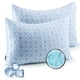 thumbnail image 1 of Espuma viscoelástica triturada ajustable Pillow Puredown Cooling, paquete de 2, 1 of 7