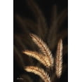 thumbnail image 2 of Deiter, Lori 23x32 Black Ornate Wood Framed with Double Matting Museum Art Print Titled - Golden Grass I, 2 of 4