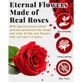 thumbnail image 2 of Rosas preservadas Forever Flowers Changshunqi en caja x7, 2 of 9