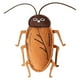 thumbnail image 1 of Juguete Interactivo Para Gatos Con Forma De Cucaracha. Juguete Masticable Realista Con Infusión Para Gatos | Juguete Para Gatos Con Simulación Realista. Juguete Masticable Para Gatos. Juguetes Para, 1 of 8
