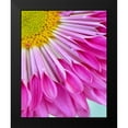 thumbnail image 2 of Peck, Gail 20x24 Black Modern Framed Museum Art Print Titled - Fuschia Bloom, 2 of 5