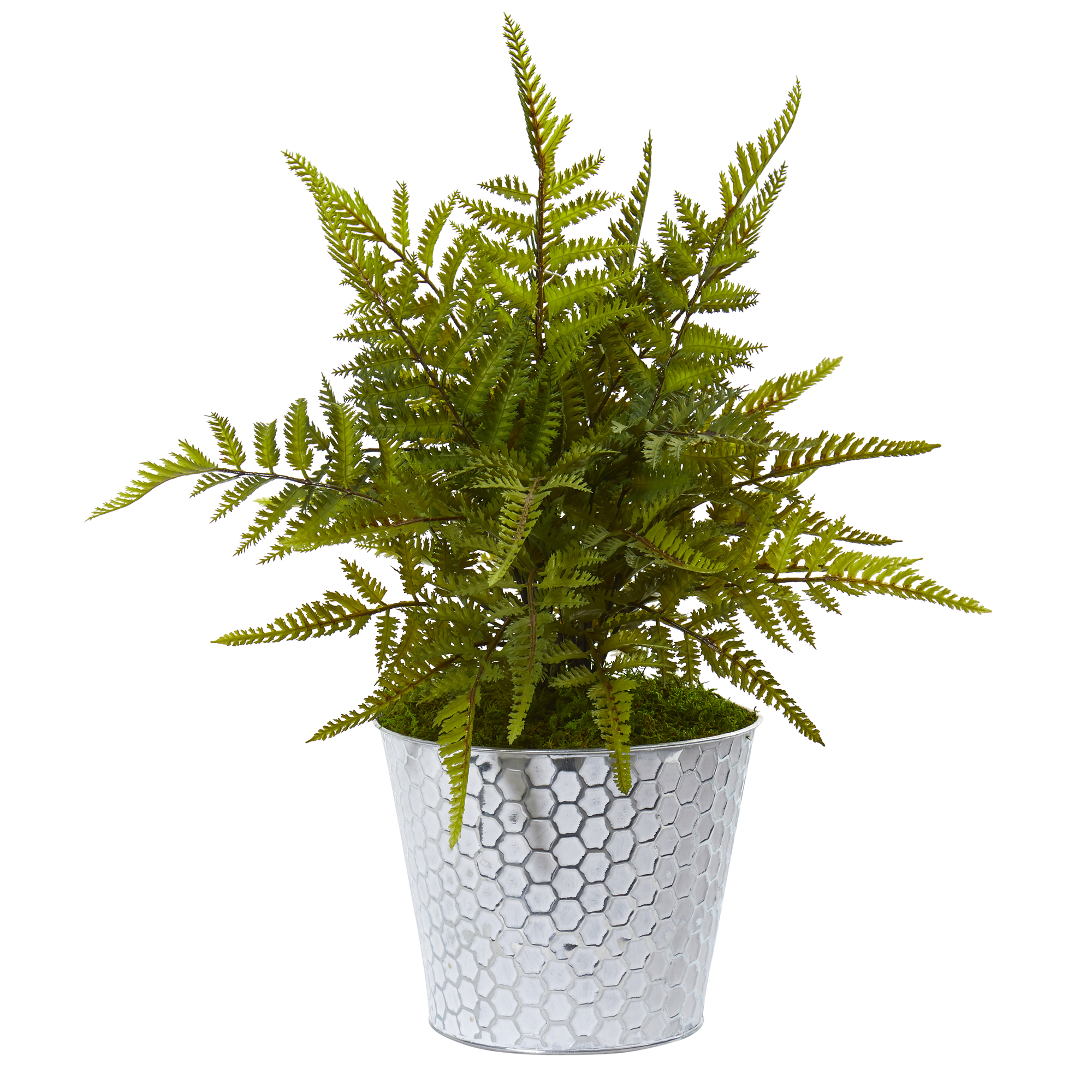 Nearly Natural 14in. Fern Artificial Plant in Embossed White Tin