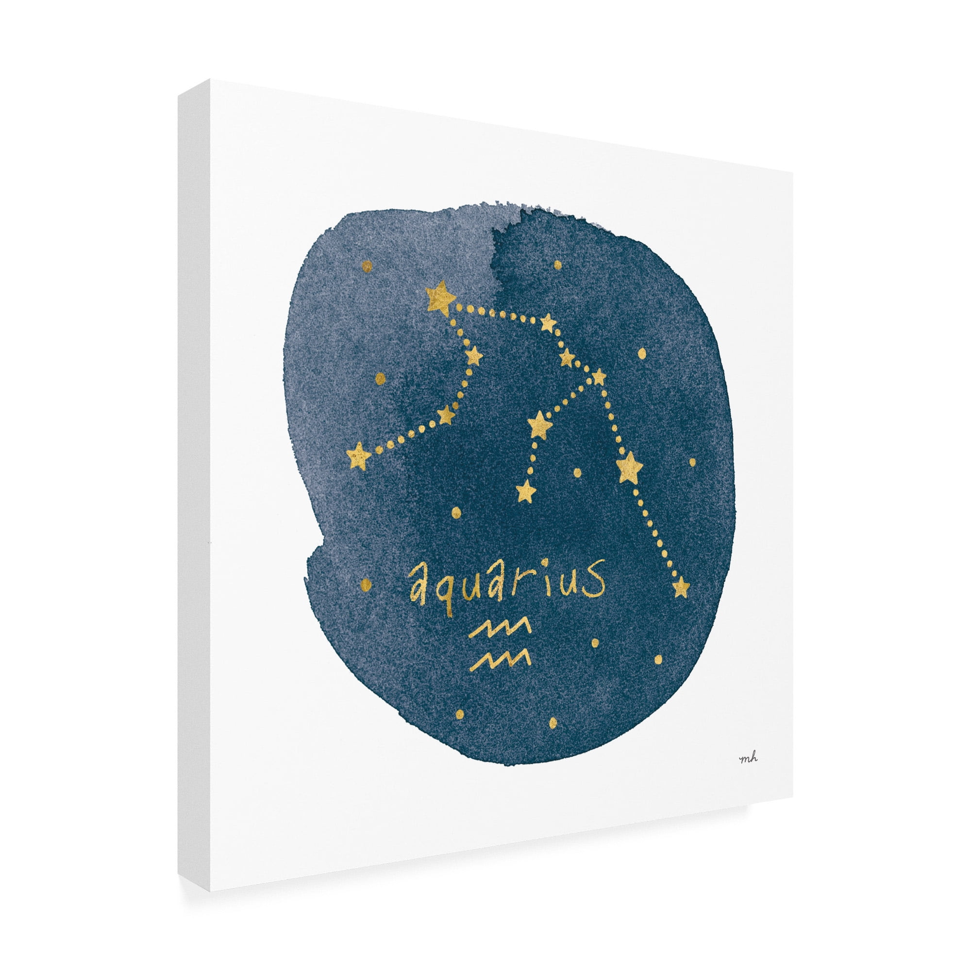 Trademark Fine Art 'Horoscope Aquarius' Canvas Art by Moira Hershey