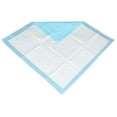 thumbnail image 3 of Spptty Incontinence Bed Pads, Disposable Underpad,2 Colors 15PCS/Bag New Disposable Underpad Adult Nursing Urinary Incontinence Urine Pad, 3 of 4
