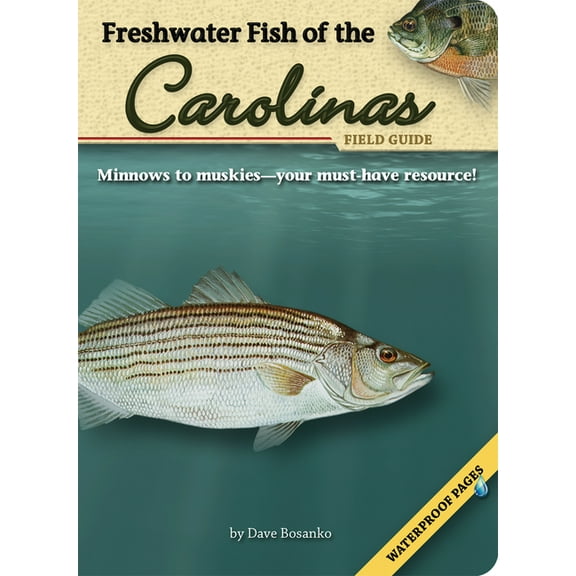 Fish Identification Guides Freshwater Fish of the Carolinas Field Guide, (Paperback)