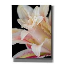 Epic Graffiti 'They Called Her Lily' by Pamela Plummer, Canvas Wall Art, 12"x16"