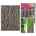 thumbnail image 3 of DOLITY Artificial Tree Bark Ideal Coverage Simulation Bark for Columns Walls Floors 100cmx60cm, 3 of 9