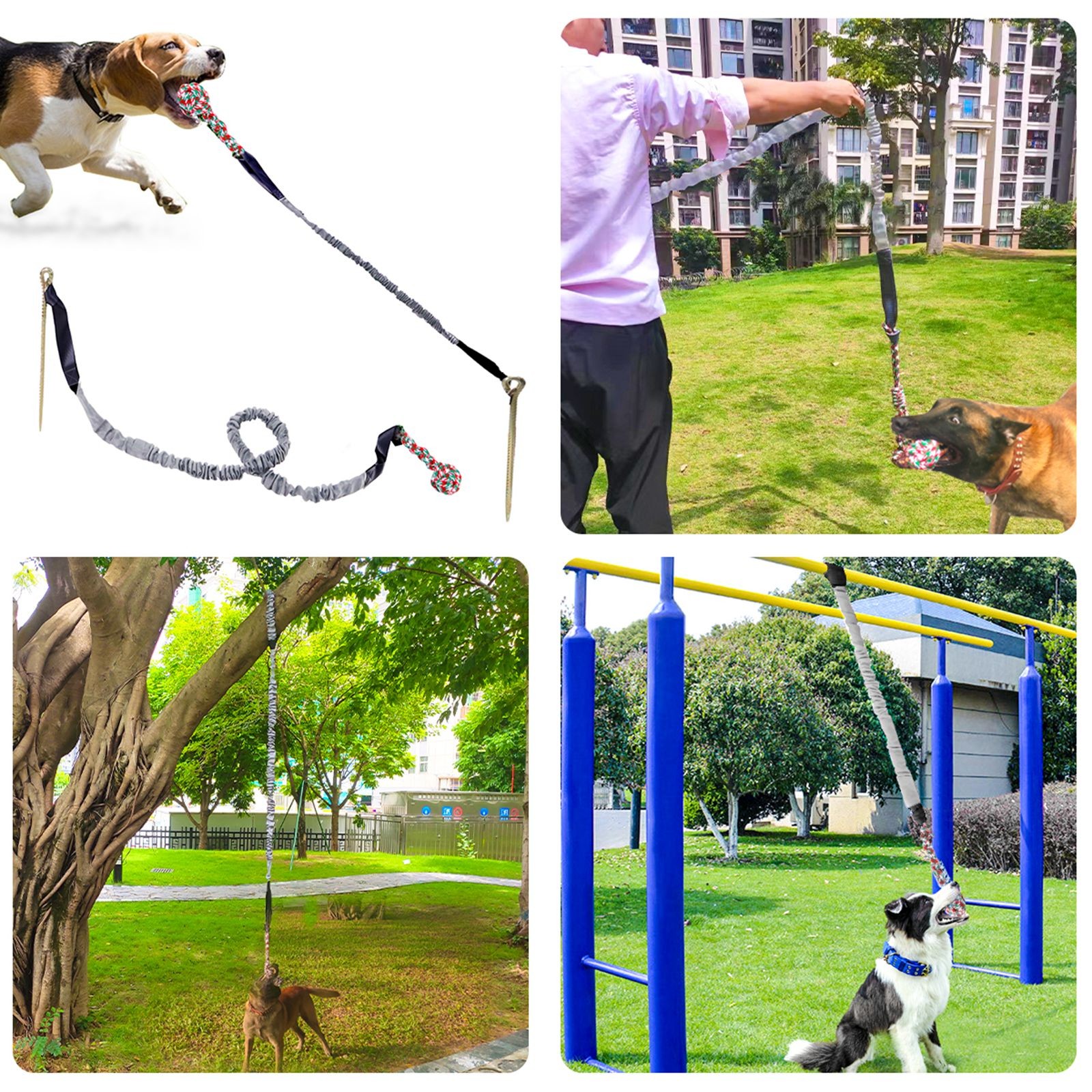 Pet Dog Teeth Grinding Outdoor Tug of War Knotted Rope Tree Bungee Dog ...