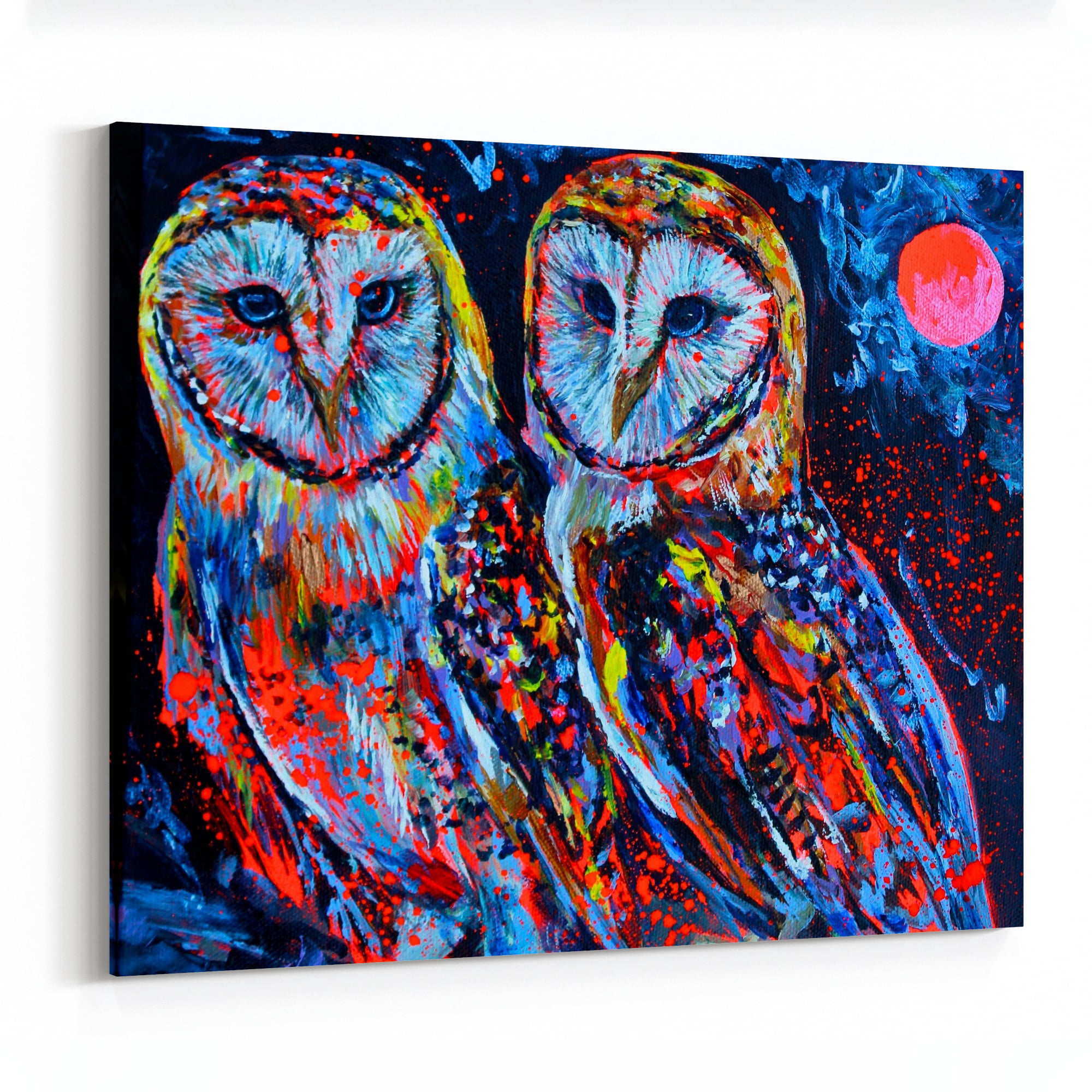 3pcs Colorful Owls Wall Decals Kids Art Nursery Decor Canvas Prints Unframed 