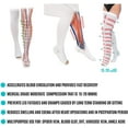 thumbnail image 3 of Anti Embolism Compression Stockings, Thigh High Unisex Ted Hose Socks 15-20 mmHg Moderate Level Large (1 Pair), 3 of 7