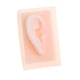 thumbnail image 3 of 2 Pcs Modelo de Oreja Izquierda Derecha Accesorio Salud atención Personal, 3 of 9