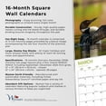 thumbnail image 6 of Canadian Geographic The Loon 2026 12x24" (Hanging) Wall Calendar | Wyman Publishing, 6 of 9