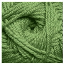 Cascade Yarns 220 Superwash Merino 17 Green Tea