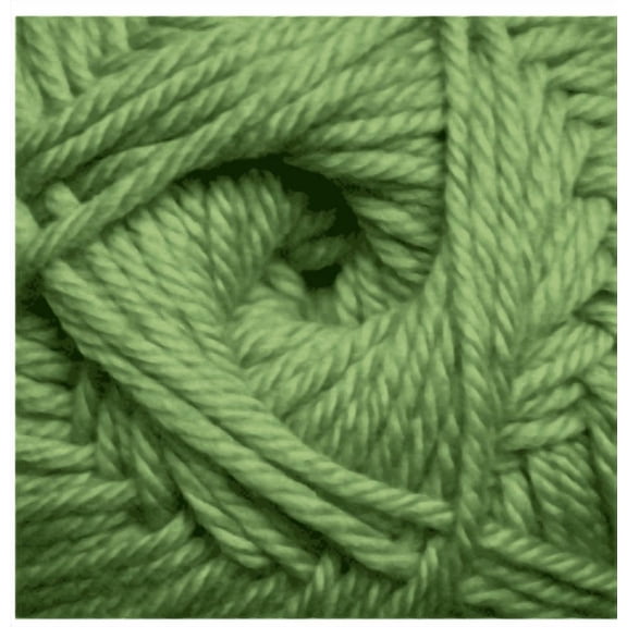 Cascade Yarns 220 Superwash Merino 17 Green Tea