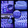 thumbnail image 3 of Manguera LED DOSYU 25 metros AZUL 60 LED 5050 110V-5050-60P-25M, 3 of 8