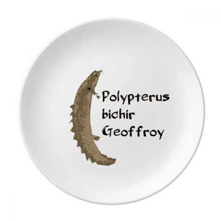 

Polyfin Fish Pritive Freshwater Plate Decorative Porcelain Salver Tableware Dinner Dish