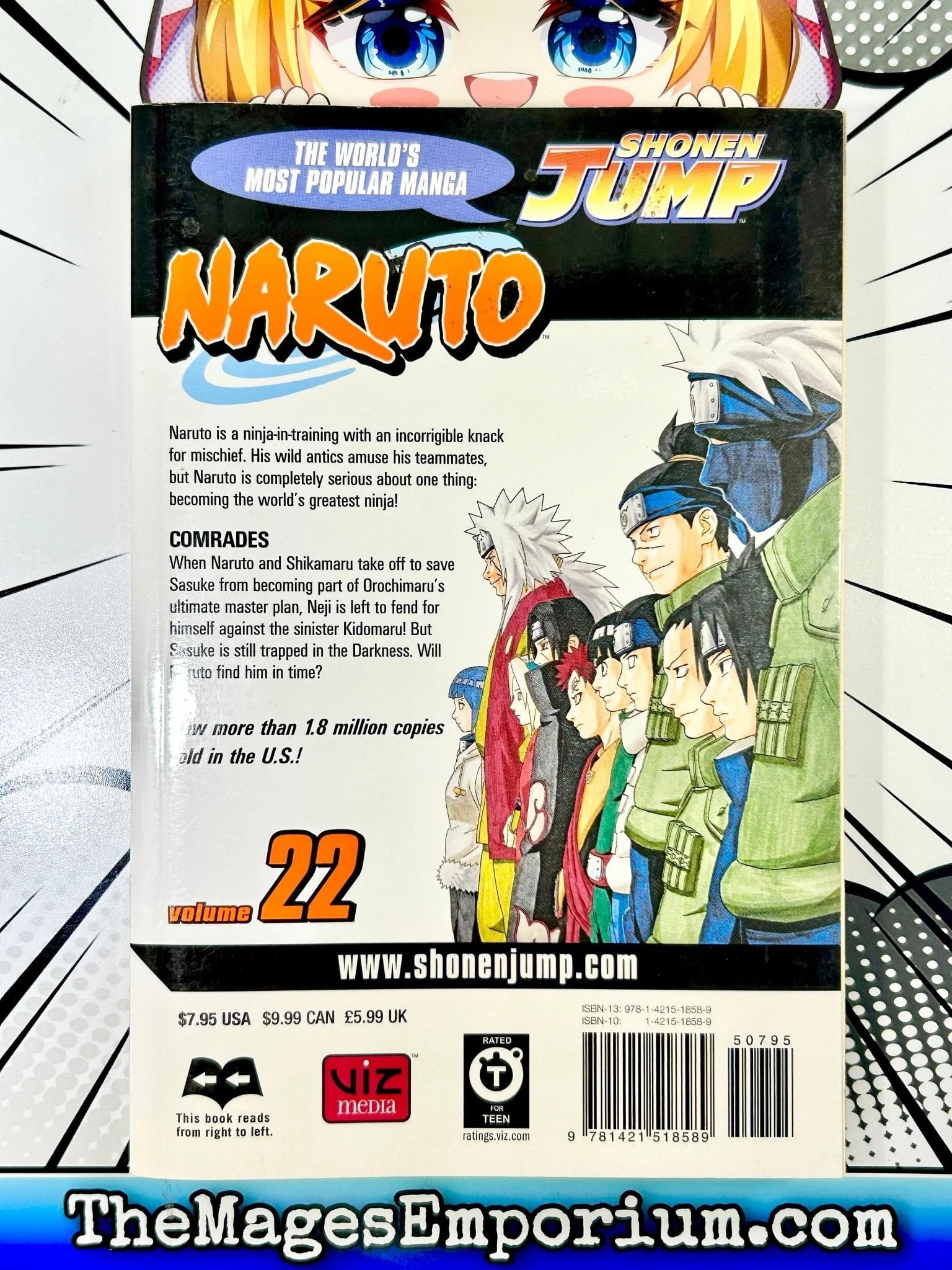 Naruto Naruto, Vol. 22, (Paperback) - Walmart.com