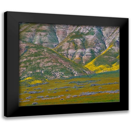 Fitzharris, Tim 13x12 Black Modern Framed Museum Art Print Titled - Temblor Mountains-Corrizo National Monument-California-USA