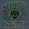 thumbnail image 2 of Womens Harry Potter Slytherin Pride and Ambition Racerback Tank, 2 of 4