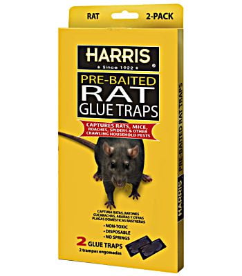 JUMBO MOUSE TRAP Sticky Glue RAT MICE Boards Baited 2TRAP/PCK FAST SHIPPING 