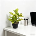 thumbnail image 4 of Plantas Artificiales de Hojas Verdes En Maceta para La Decoración de Mesas y Salas de Estar; Plantas Artificiales Realistas para La Oficina, Estanterías y Jardines., 4 of 7