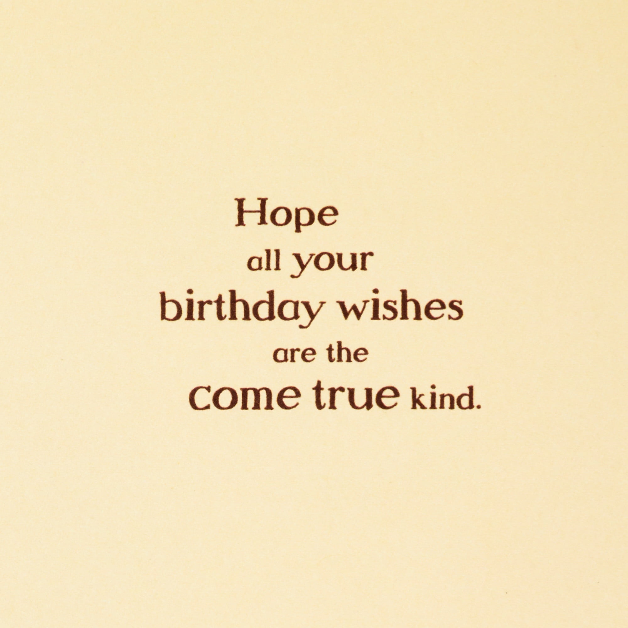 Hallmark Disney Winnie the Pooh Birthday Card (Hope Your Wishes Come True)